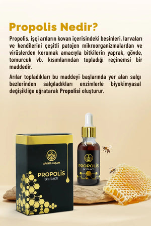 Propolis Ekstraktı Damla Takviye Edici Gıda 35ml Apayrı Yaşam
